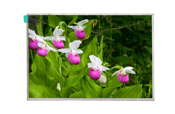 采購高亮lcd顯示屏的技巧合集【海飛智顯】-高亮lcd顯示屏廠家 采購高亮lcd顯示屏的技巧合集【海飛智顯】-高亮lcd顯示屏廠家