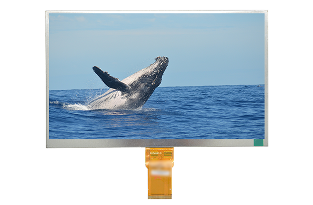 HF-61031-X069-A0 HF-61031-X069-A0