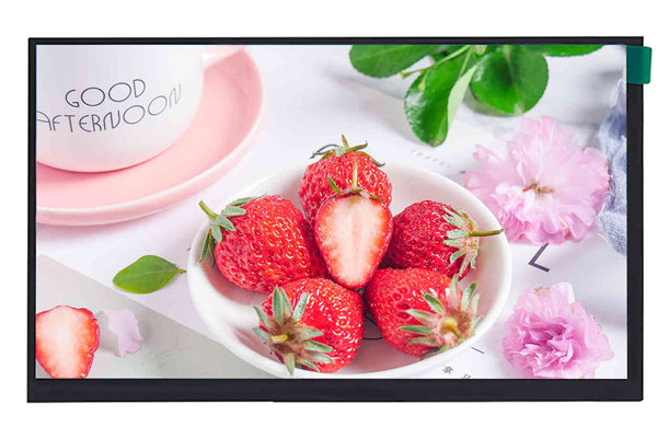 10.1寸LCD液晶屏 10.1寸LCD液晶屏