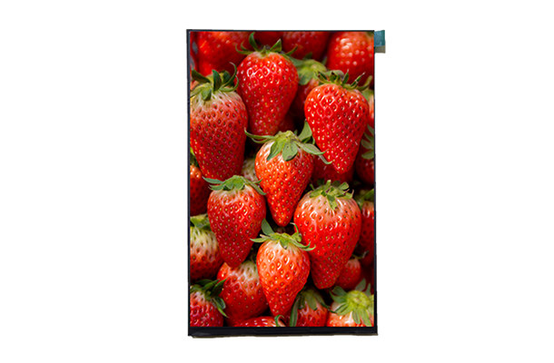 標(biāo)準(zhǔn)液晶屏 標(biāo)準(zhǔn)液晶屏